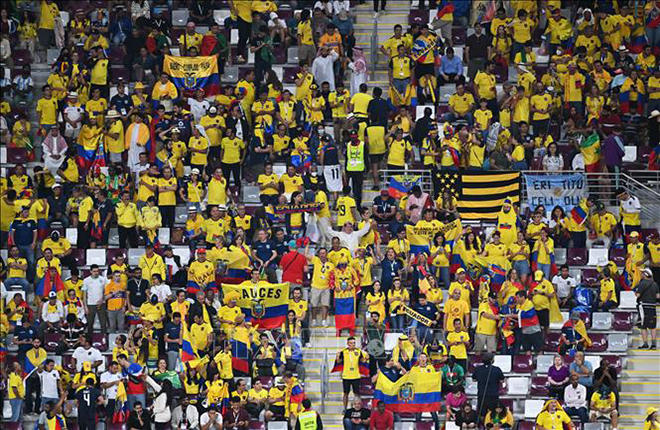 Cổ động viên Ecuador tự hào về 'Tricolor'